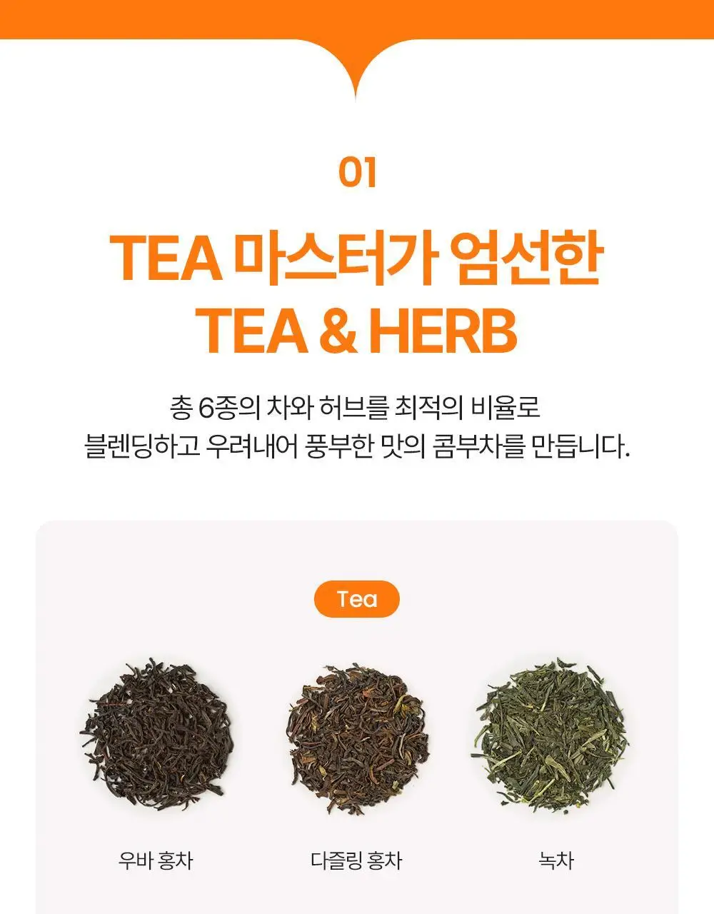 [올영 단독 선런칭] 티젠 콤부차 (자두/멜론) 10+2 기획 상세페이지 38